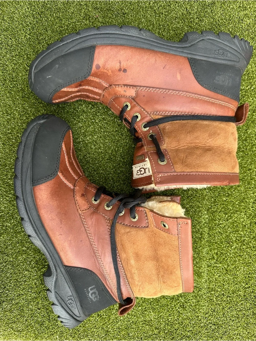 UGG men’s lace